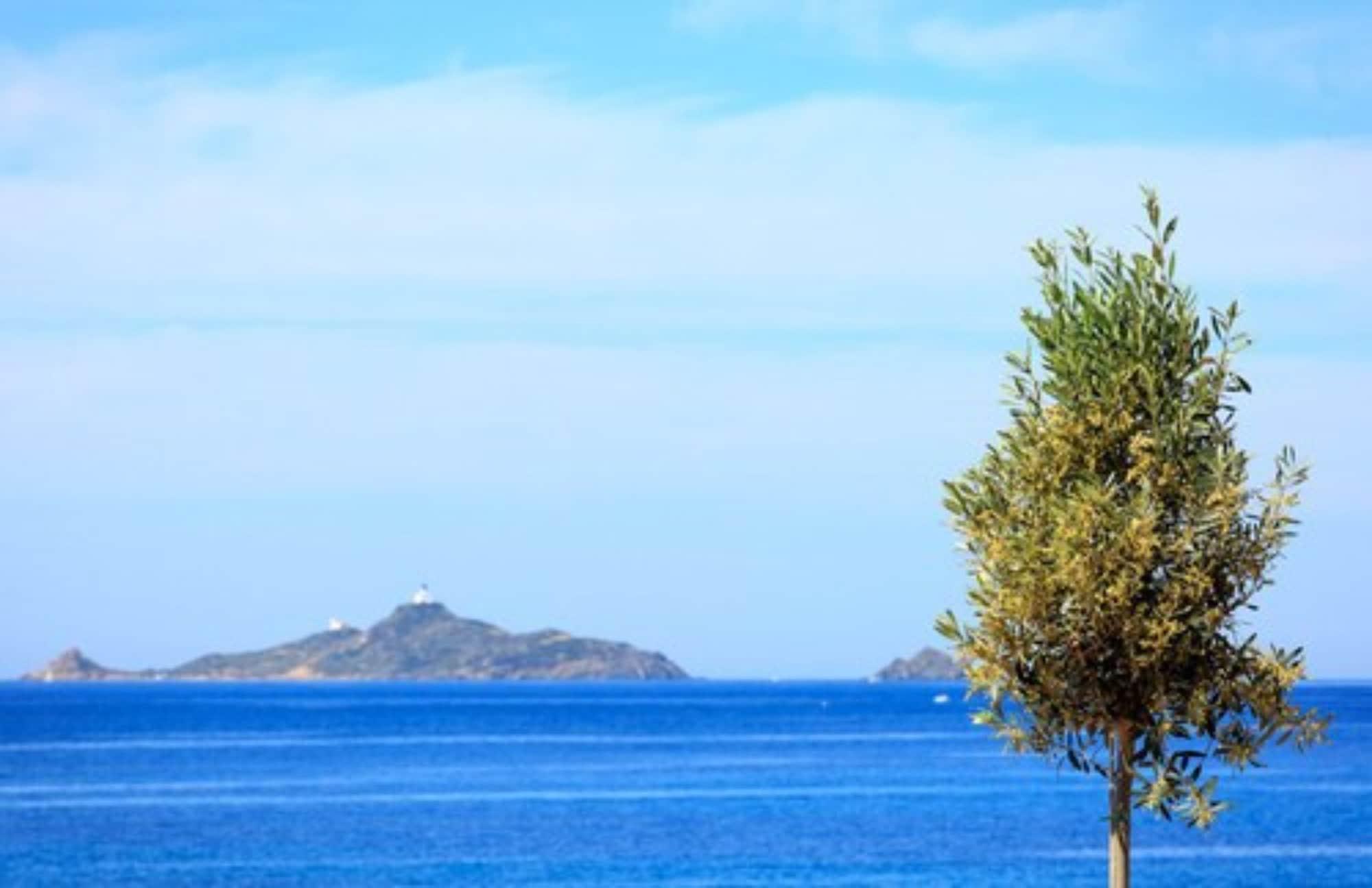 Hotel Cala Di Sole Ajaccio  Kültér fotó